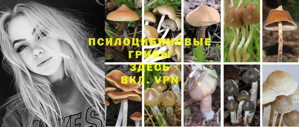 мефедрон мука Алексеевка