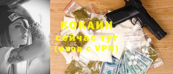 твердый Аркадак